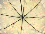Зонт  женский Zicco, арт.2240-11_product